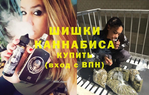 мдпв Нея