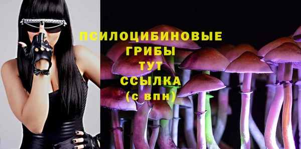 мдпв Нея
